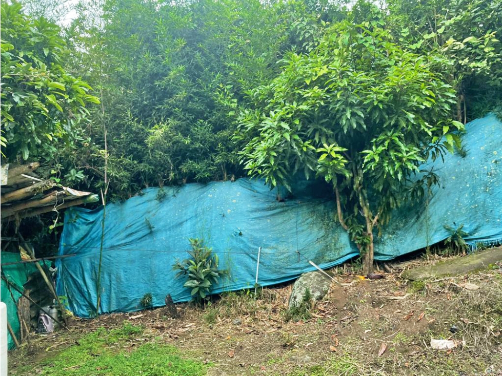 Finca en Venta por B&M inmobiliaria e inversiones ubicado en Cali. El código del inmueble es: 7519664 Imágen 20
