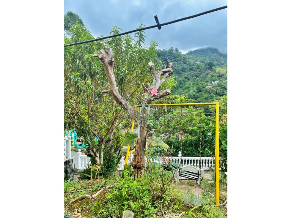 Finca en Venta por B&M inmobiliaria e inversiones ubicado en Cali. El código del inmueble es: 7519664 Imágen 24