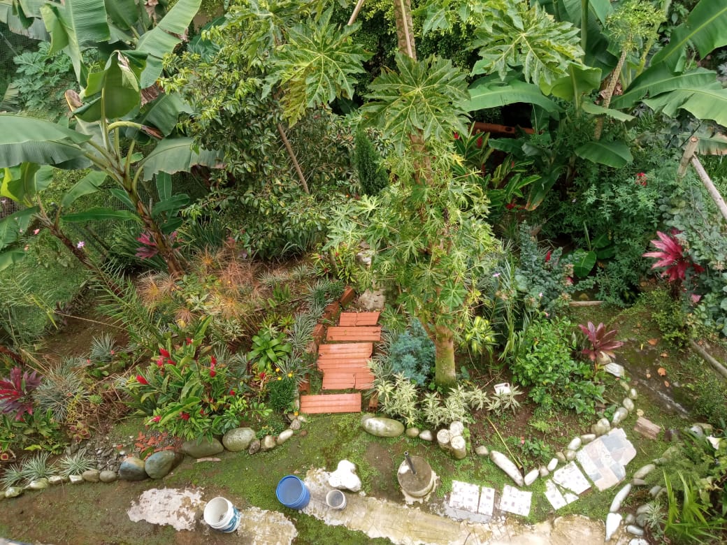 Foto de Casa en Venta en Maraya, Pereira - 13 - 48352