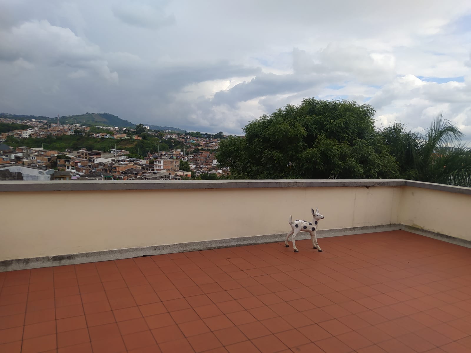 Foto de Casa en Venta en Comuna cuba/cuba, Pereira - 23 - 48507