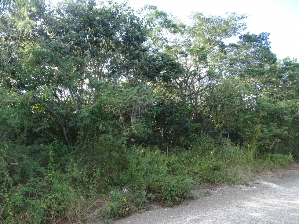 Conkal Terreno Residencial en Venta ideal como inversión
