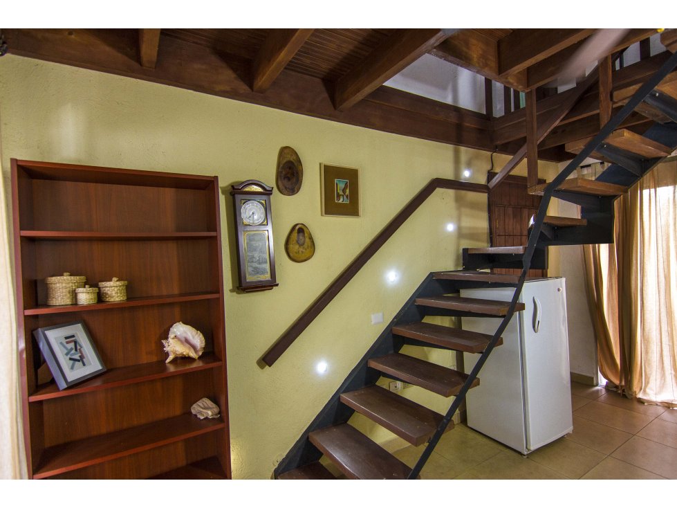 Elegant Loft Apartments - 4