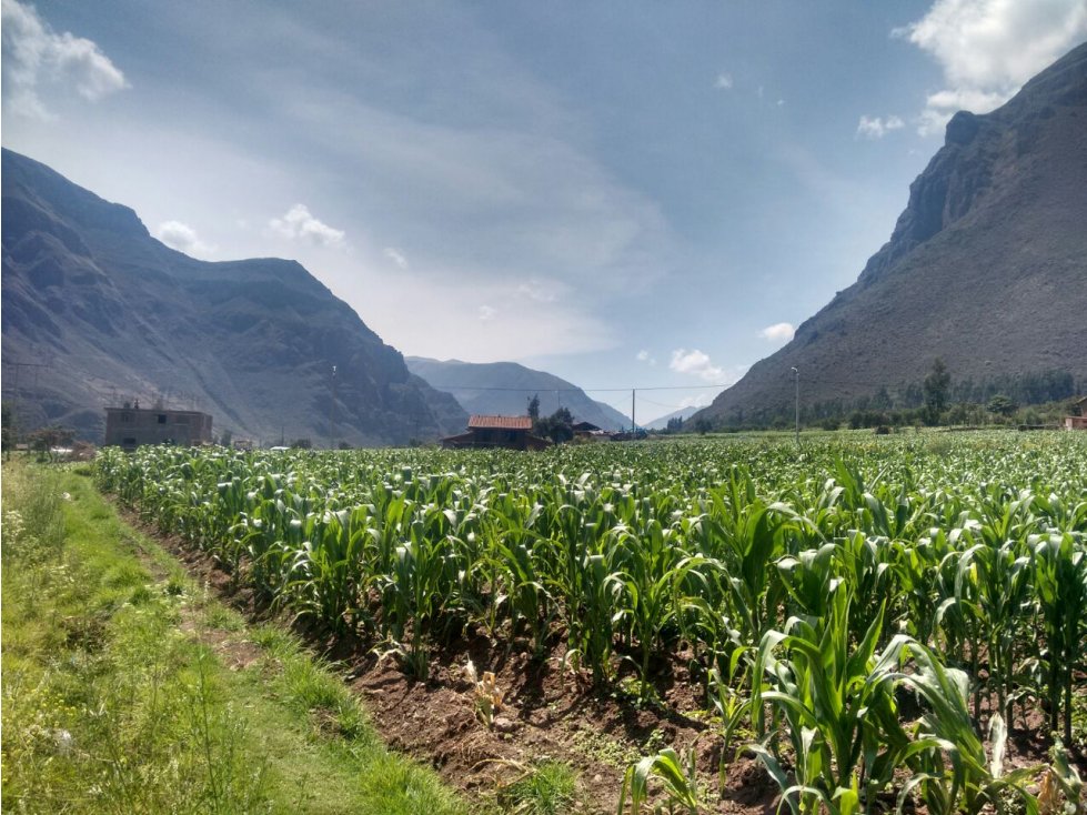 VENDO TERRENO 3 Ha. CALCA CUSCO PERU