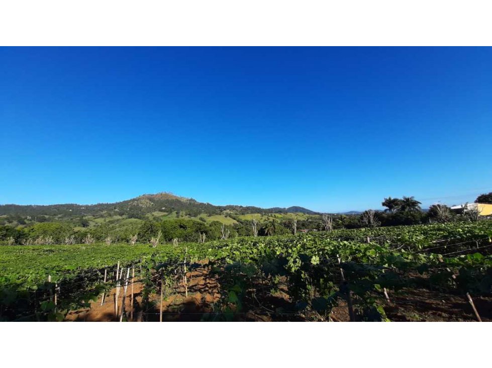 Terreno de 37 tareas de venta en Jarabacoa - 2