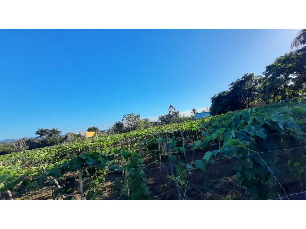 Terreno de 37 tareas de venta en Jarabacoa - 3