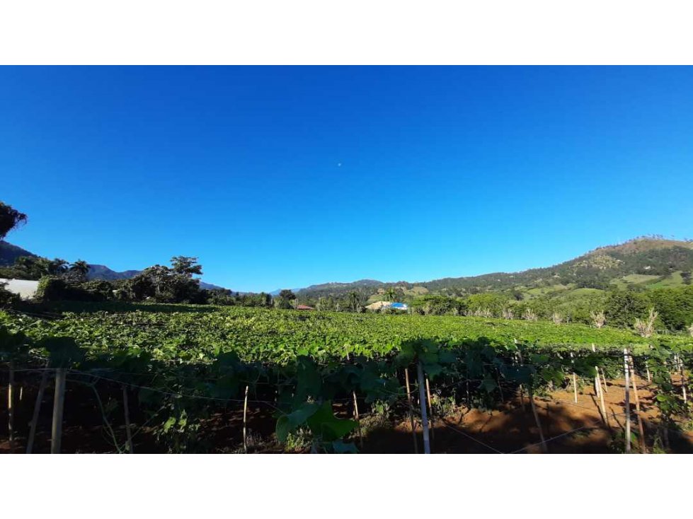Terreno de 37 tareas de venta en Jarabacoa - 4