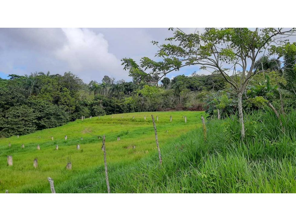 Propiedad de 22.5 Tareas en venta - 6