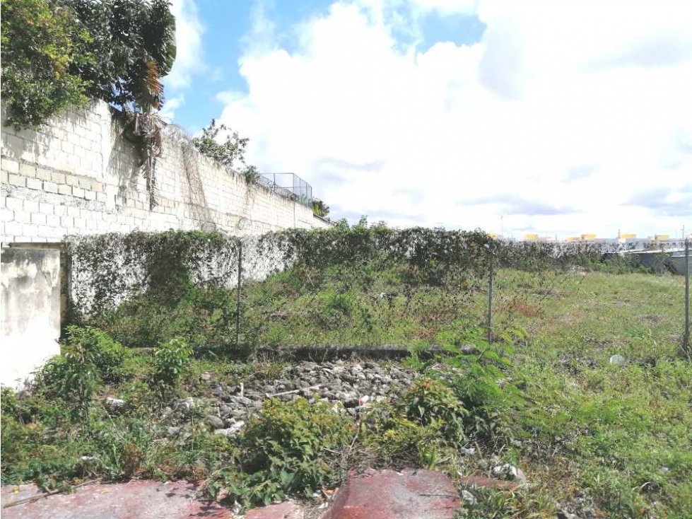 Se vende Solar de 1915 Mts2 Frente a cocotal bávaro - 5