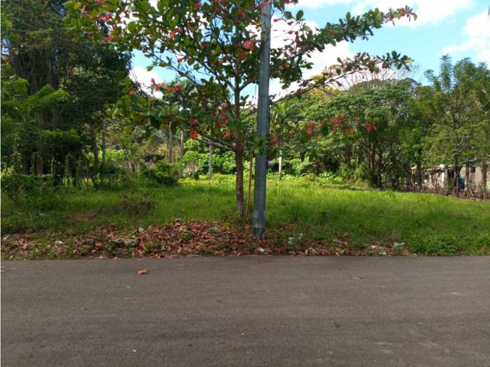 Solar de 1000 metros cuadrados venta en el residencial el vedado en l - 1