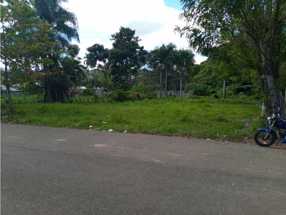Solar de 1000 metros cuadrados venta en el residencial el vedado en l - 2