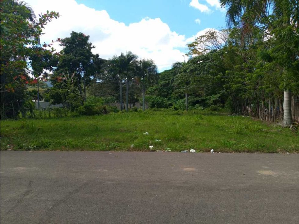 Solar de 1000 metros cuadrados venta en el residencial el vedado en l - 3
