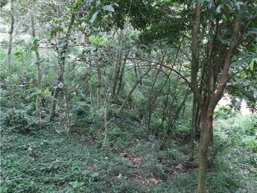 Solar de 2000 metros en medio de las Montañas de Jarabacoa - 4
