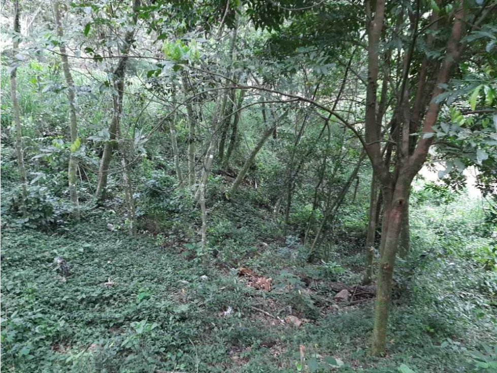 Solar de 2000 metros en medio de las Montañas de Jarabacoa - 5