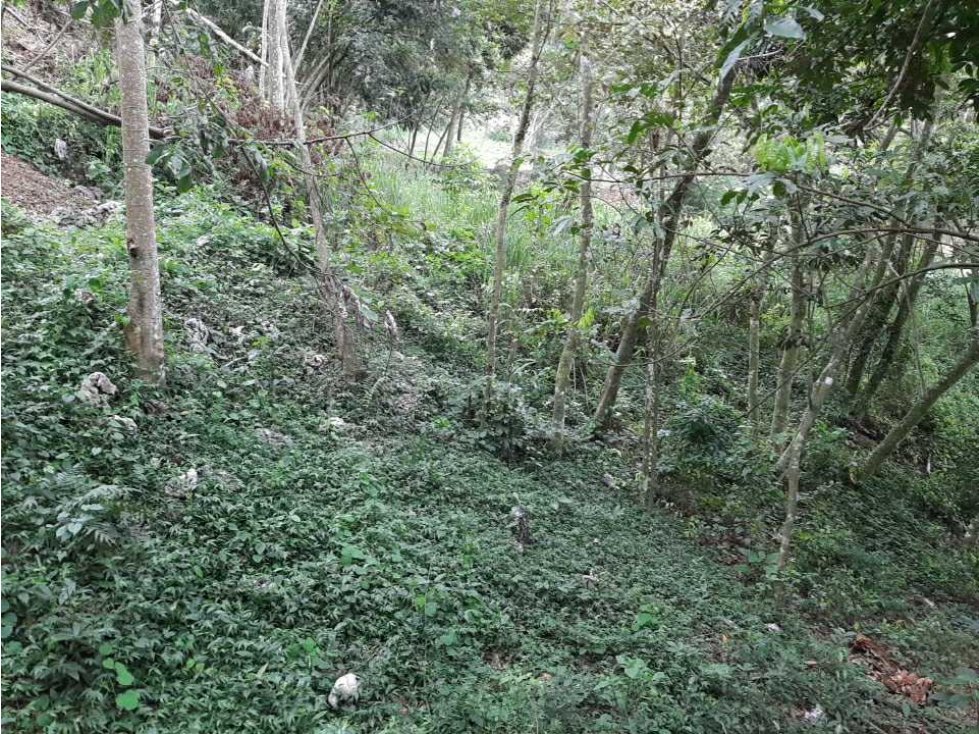 Solar de 2000 metros en medio de las Montañas de Jarabacoa - 6