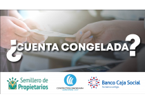 cuenta congelada para semillero de propietarios