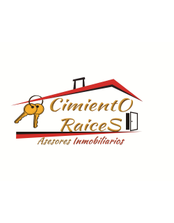 Cimiento Raices