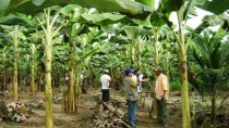 Proyectos Productivos integrales y sostenibles
