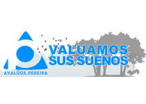 Dictámenes de Parte, realizados por Avaluadores idoneos e imparciales.
